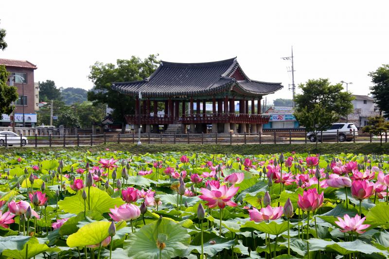  “전. 답에서 사적지로” 정읍시, 문화유산 41필지 지목 현실화 완료
